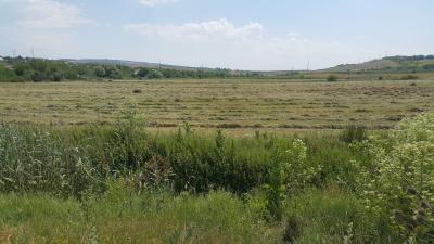 Прикрепленное изображение: 20240612_141708_.jpg